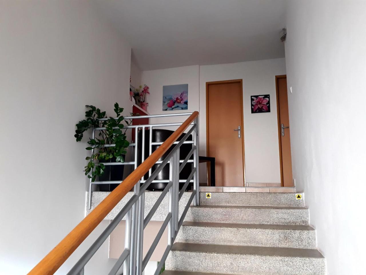 Penzion Fox Nemšová المظهر الخارجي الصورة